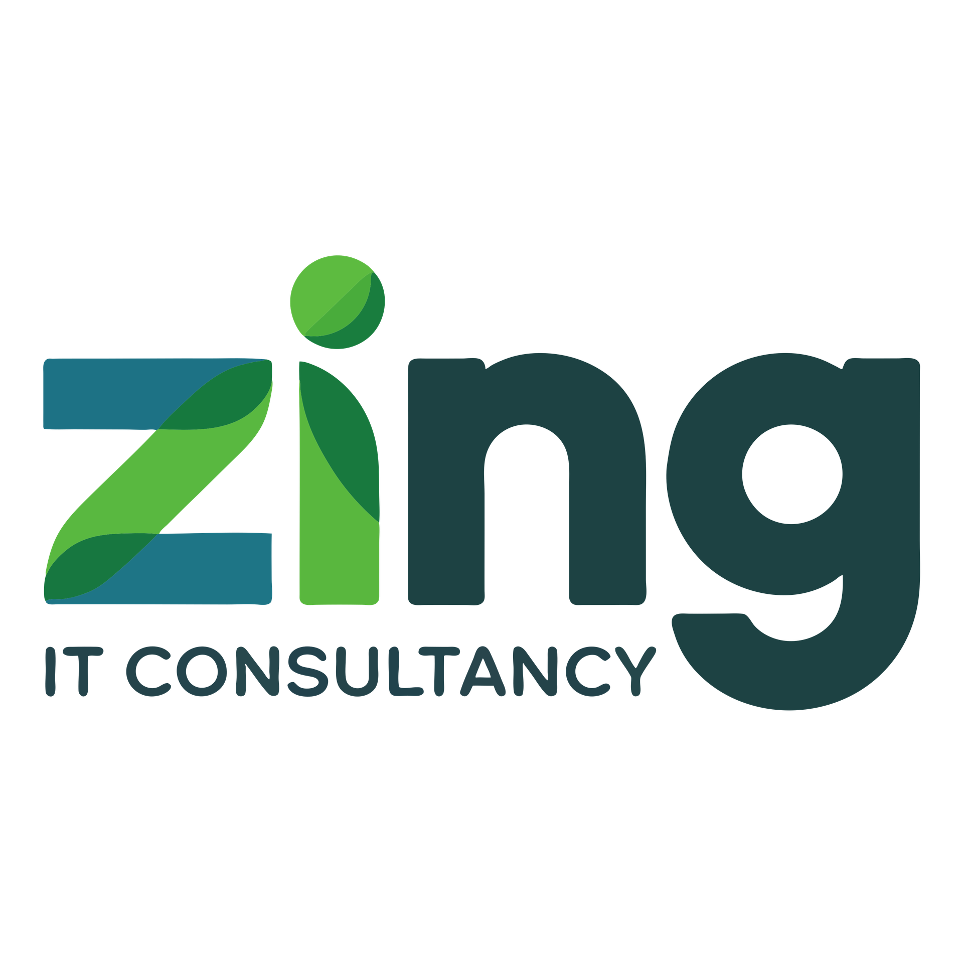 Zing IT Consultancy
